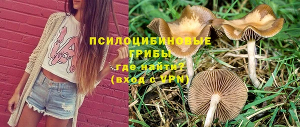 мет Ладушкин