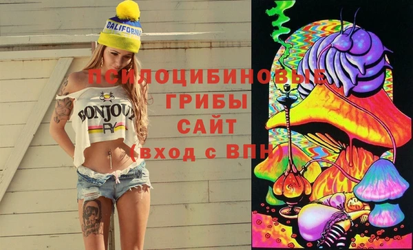 спайс Елизово