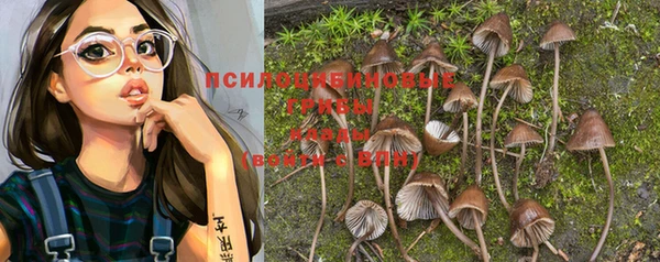 спайс Елизово