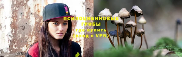 марки lsd Ельня