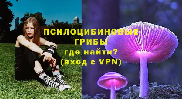 спайс Елизово