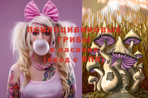 марки lsd Ельня