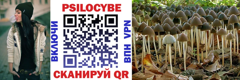 цена наркотик  Чулым  hydra ссылки  Псилоцибиновые грибы прущие грибы 