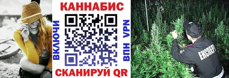 Конопля сатива Чулым